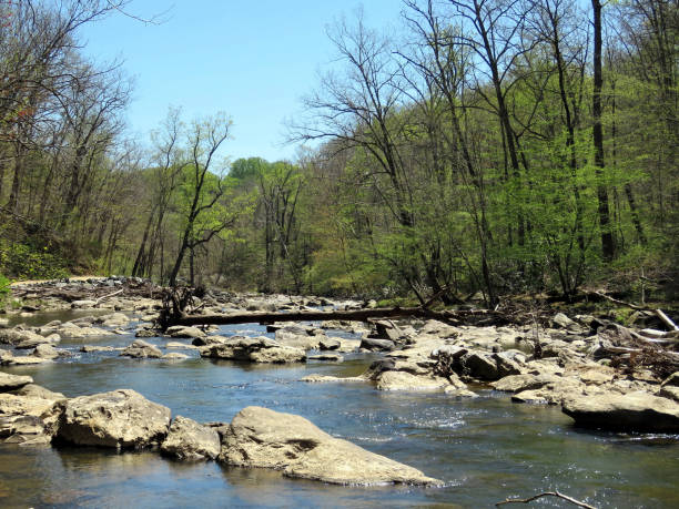 istock Mclean Mine Run Branch River landscape 2016 807038944