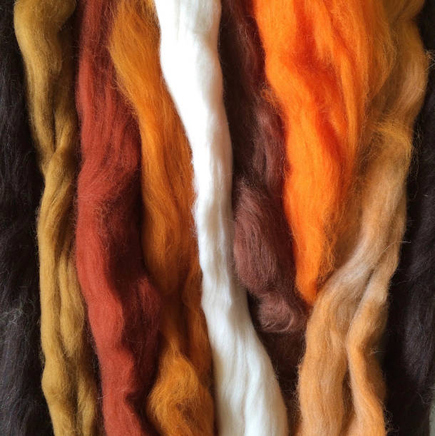 istock Spinning Wool - Merino Carded Fleece 807057918