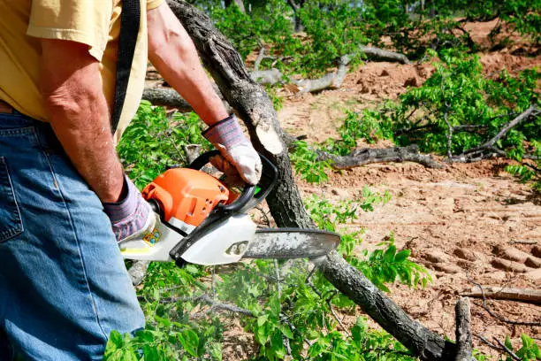 Photo of Chainsaw