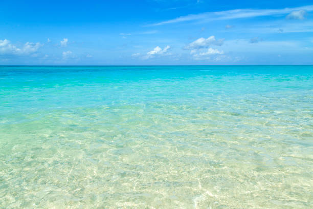 Caribbean beach background with no people and copy space.