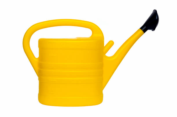 istock Yellow watering can isolated on white background with copy space 807070488