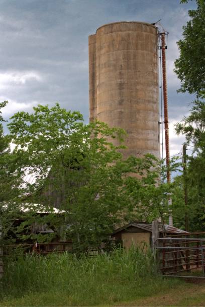 istock Silo behind a field of wheat 807093604