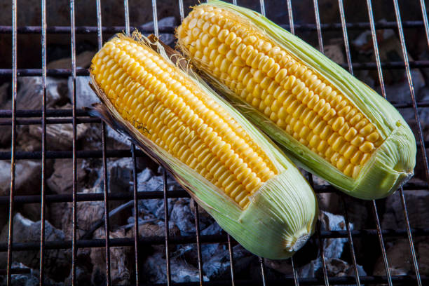 istock yellow corn grilled on charcoal stove 807144960