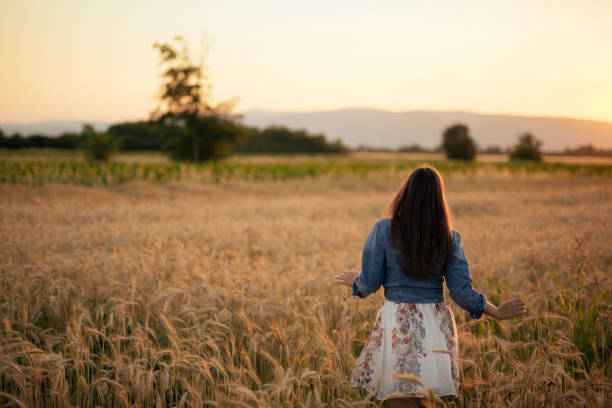 istock Young woman walking through wheat field during susnet 807150184