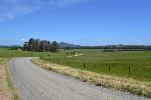 istock Dirt Road in Australia's Farm 807157152