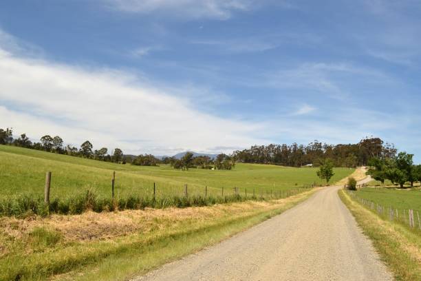 istock Dirt Road in Australia's Farm 807157158