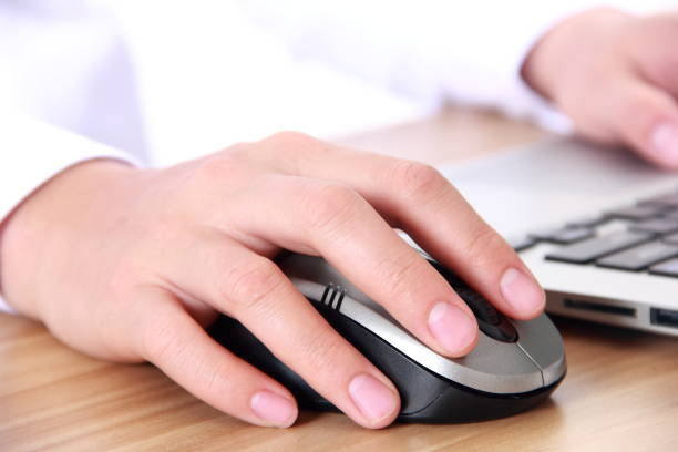istock Female hands typing on laptop 807163792