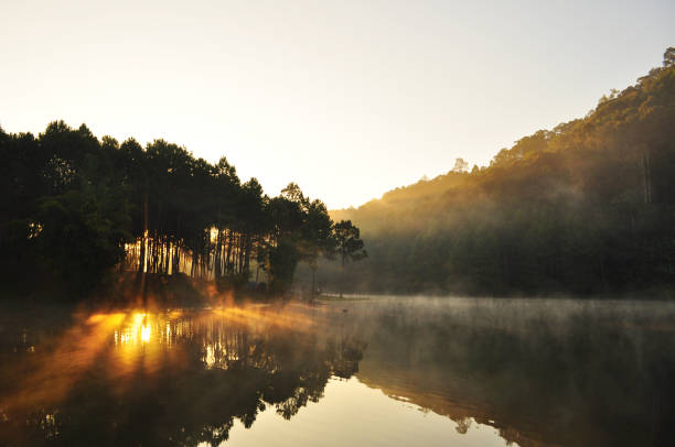 istock landscape reflection of pine tree in a lake at sunlight 807173348