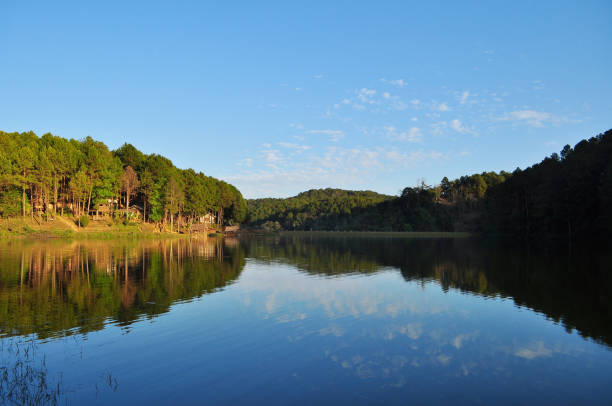 istock landscape reflection of pine tree in a lake 807176508