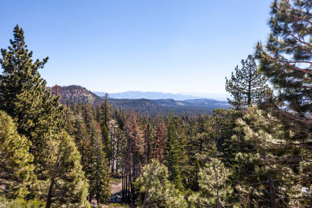istock Mammoth Lakes, California 807180740