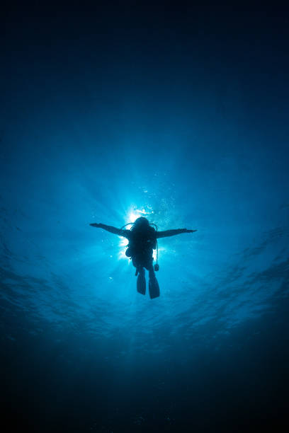 istock Silhouette diver sunrays  behind at Underwater blue background in sea,Thailand 807198632