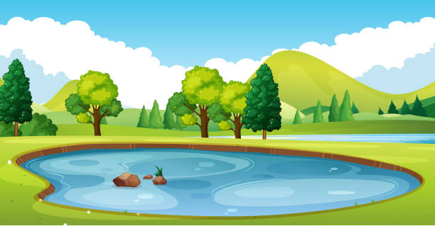 ilustraciones, imágenes clip art, dibujos animados e iconos de stock de escena con estanque en el campo - charca