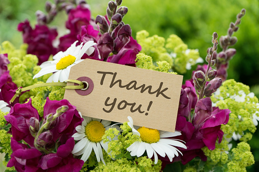 Greeting card with snapdragons, daisies and text: Thank you