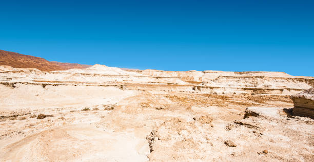 イスラエルのネゲヴ砂漠の岩の丘。南部のイスラエル砂漠の砂漠の岩の息をのむ風景。 - echo canyon ストックフォトと画像