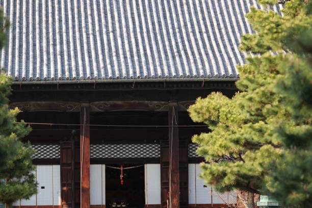 Suzakumon Gate of Heijo Palace. Nara, Japan.