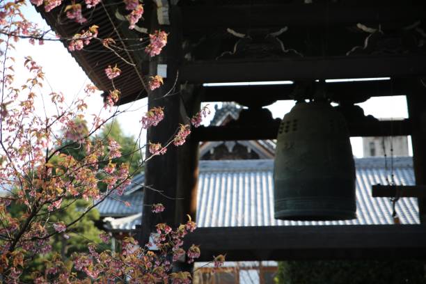 istock Chionji Tmple and Cherry blossom 807230002
