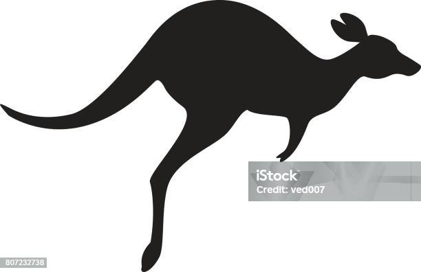 Kangaroo Icon Vector Stock Illustration - Download Image Now - Kangaroo, Icon Symbol, Vector