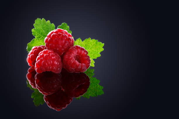 Raspberry and blackberry on black mirror. Side view. High resolution photo.  Selective focus. Shallow depth of field.