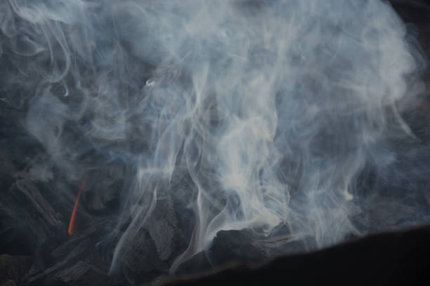 istock Grill, Smoke, Charcoal, Hygienic, Pollution 807236568