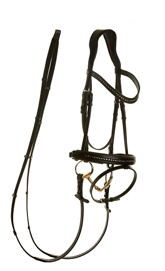 leather bridle in front of white background