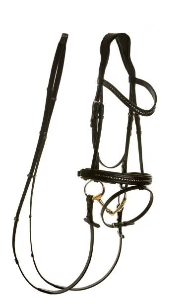 Photo of leather bridle