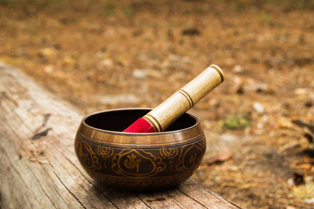 istock Tibetian singing bowl with wooden stick on the tree. 807242770