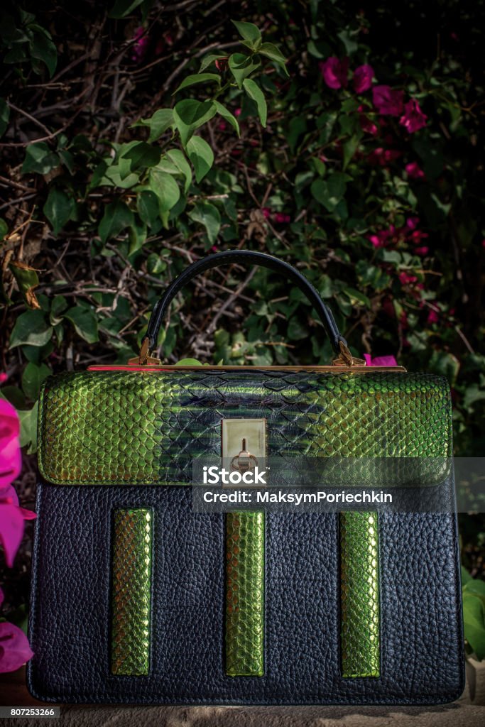 Womens Leather Bag Made From Genuine Python Leather Female Green Color  Python Leather Bag In The Garden Stock Photo - Download Image Now - iStock