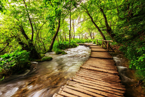 istock Plitvice lakes park in Croatia. 807258966