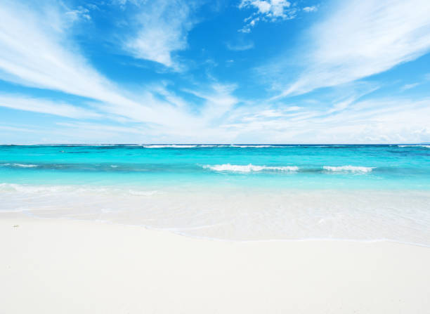 istock Tropical beach and sea in summertime 807259462
