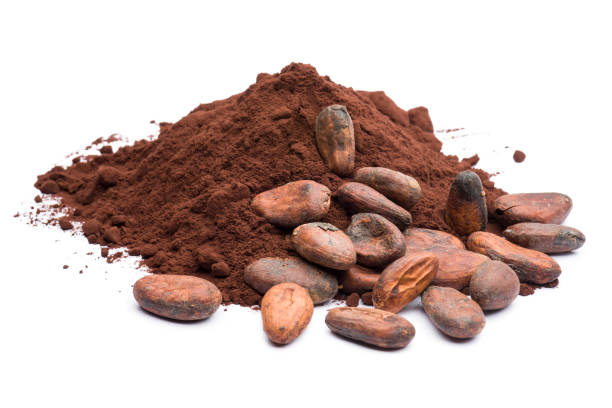 cocoa - chocolate beans imagens e fotografias de stock