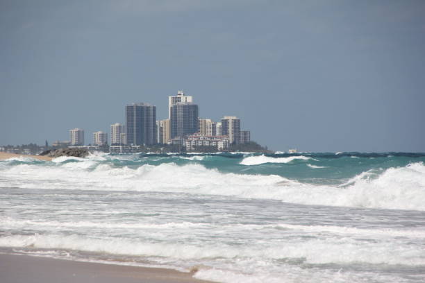 istock Skyline in Palm Beach, Florida, USA 807269576