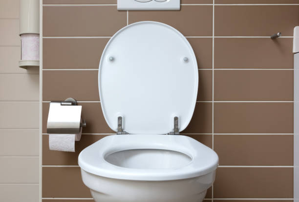 istock White toilet bowl in the bathroom 807273234