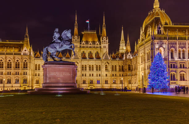 parlement à budapest en hongrie - royal palace of buda photos et images de collection