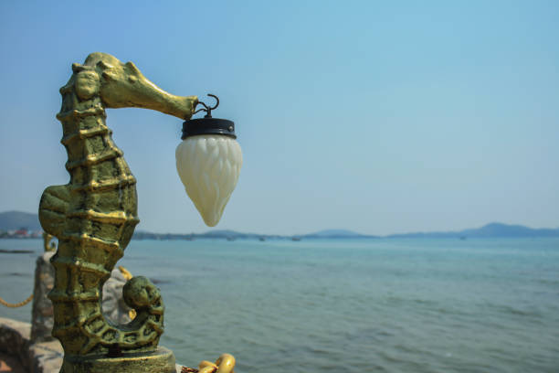 Landscape Seahorse Lighting seaside and blue sky