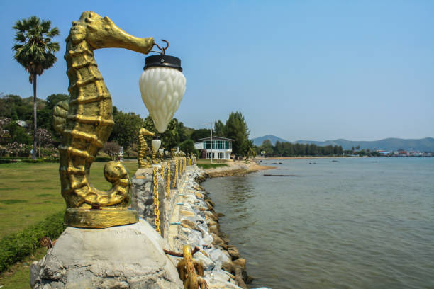 Landscape Seahorse Lighting seaside and blue sky