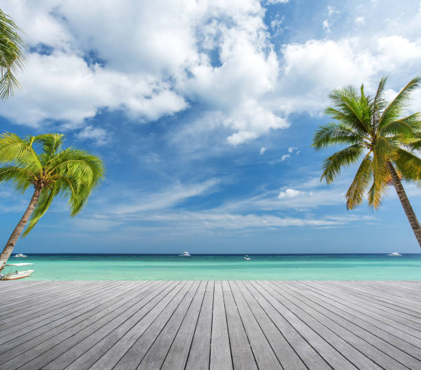 istock Wooden platform under palm trees beside tropical sea 807281342