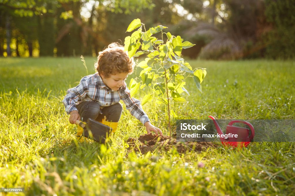 Ragazzo che si prende cura dell'albero in giardino - Foto stock royalty-free di Albero