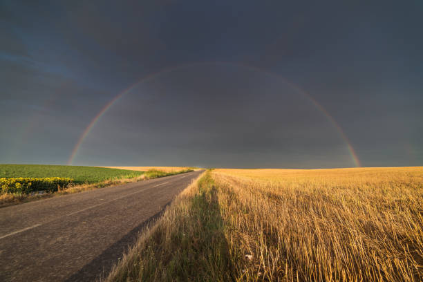 istock Wheat fields in sunny summer day after rain and rainbow behind 807295364