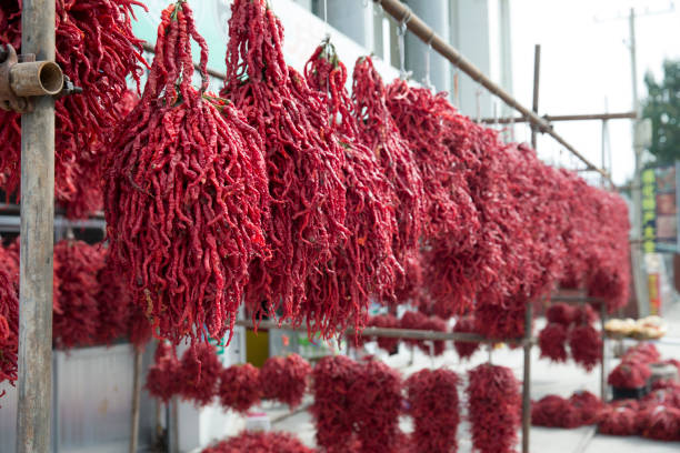 pepper drying - 3494 imagens e fotografias de stock