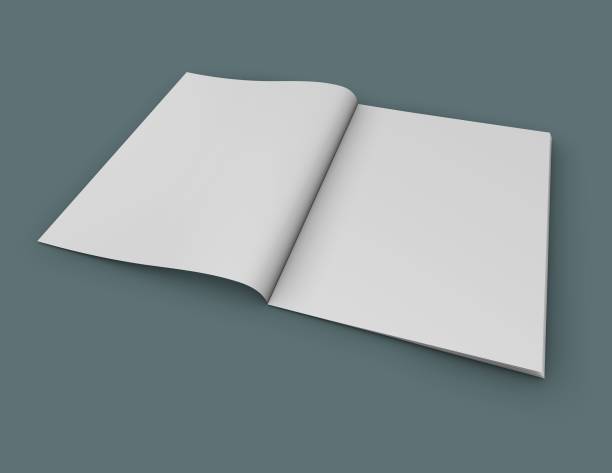istock Open magazine or catalog blank pages 3D mock up. 807308396