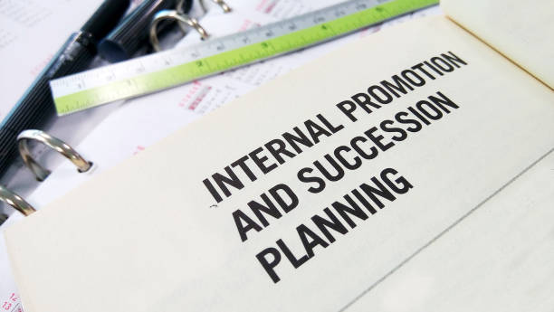 istock Internal promotion and succession 807325238