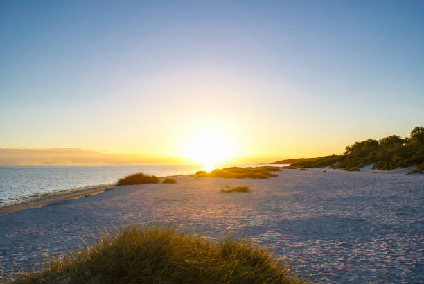istock sunset at denham city australia 807343178