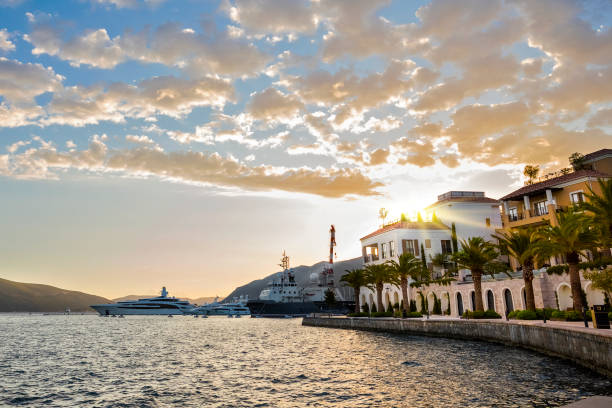 tivat marina al tramonto, montenegro - coastline branch day summer foto e immagini stock