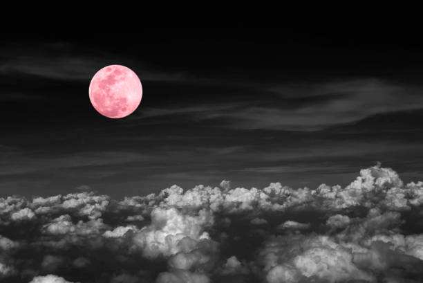 Photo of Pink full moon and cloud  in the dark sky at night , color effect