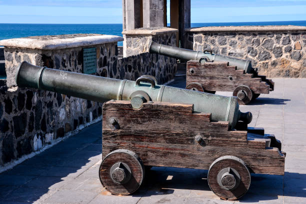 istock View on Puerto de la Cruz 807378516