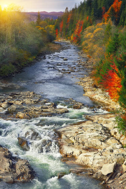 istock Autumn creek woods with colorfull trees foliage 807388014