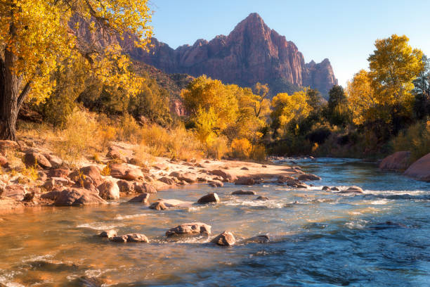View of the Watchman mountain and the virgin river in Zion National Park View of the Watchman mountain and the virgin river in Zion National Park located in the Southwestern United States, near Springdale, Utah zion river stock pictures, royalty-free photos & images