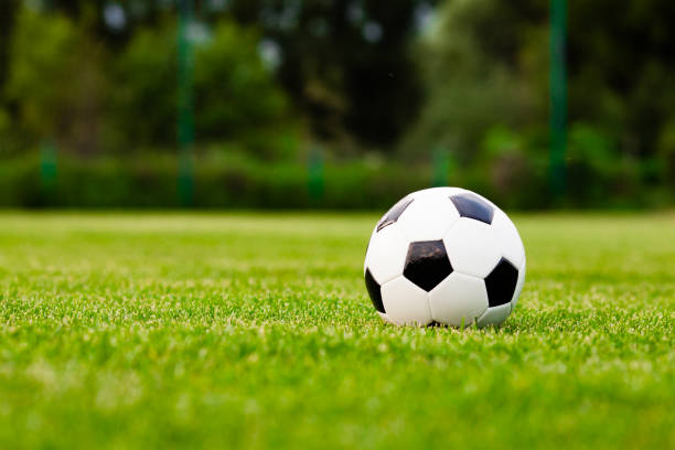 Soccer ball on a green grass close-up. Concept - football passion
