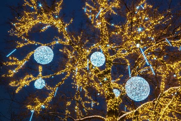 istock New Year tree decorated with balls with illuminated illumination in the evening 807404860