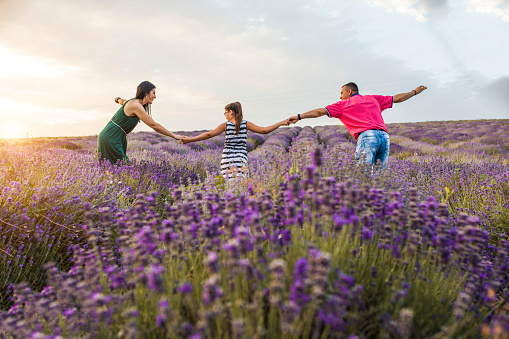 Happy family in the lavender field at sunset